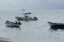 Rodrigues_2016_249