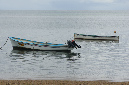 Rodrigues_2016_252
