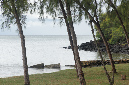 Rodrigues_2016_255