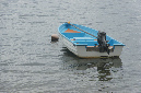 Rodrigues_2016_258