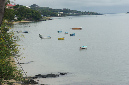 Rodrigues_2016_261