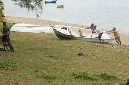Rodrigues_2016_266