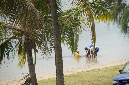 Rodrigues_2016_267