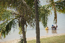 Rodrigues_2016_268