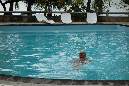 Rodrigues_2016_273