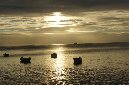 Rodrigues_2016_279