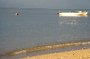 Rodrigues_2016_283