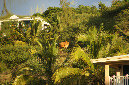 Rodrigues_2016_284