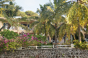 Rodrigues_2016_285