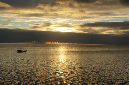 Rodrigues_2016_286