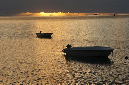 Rodrigues_2016_289