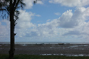 Rodrigues_2016_291