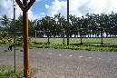 Rodrigues_2016_296