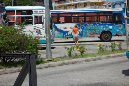Rodrigues_2016_307