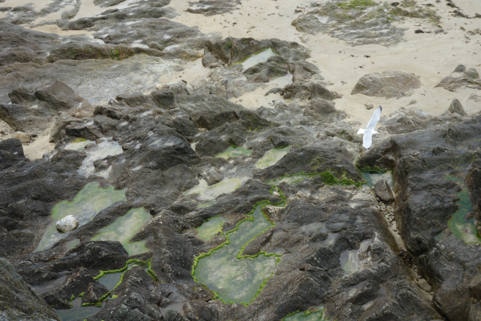 Saint_Malo_3juillet2016_004