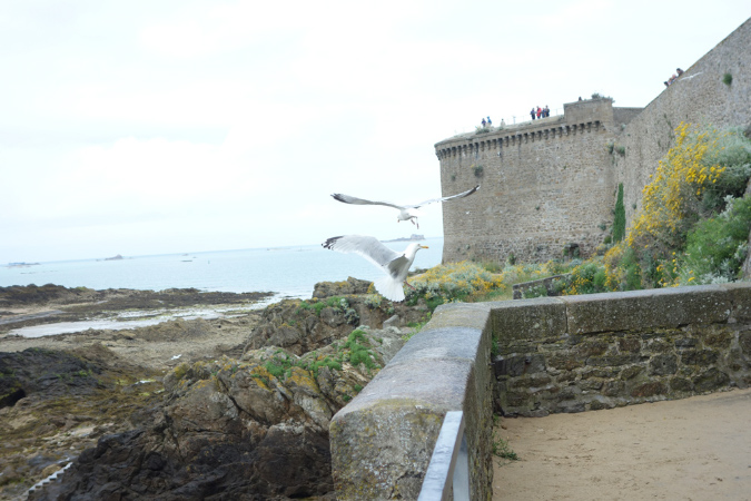 Saint_Malo_3juillet2016_005