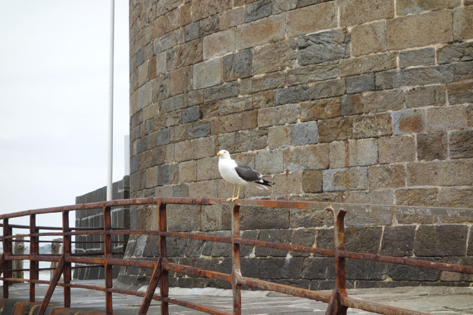 Saint_Malo_3juillet2016_033