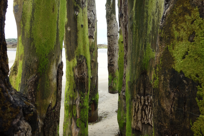 Saint_Malo_3juillet2016_036
