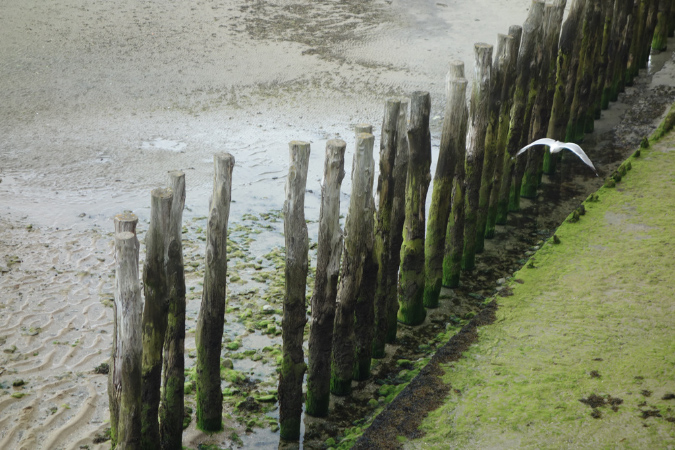 Saint_Malo_3juillet2016_061
