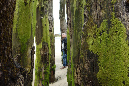 Saint_Malo_3juillet2016_039