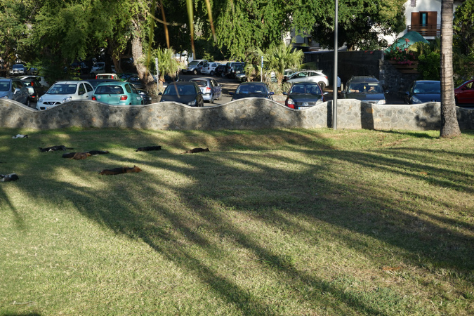Piquenique_9juillet_%20(104)