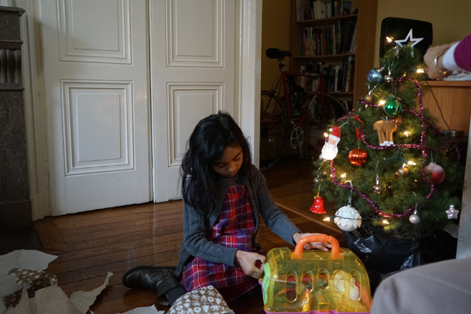 Lyon_Noel_%20(21)