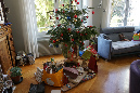 Lyon_Noel_%20(30)
