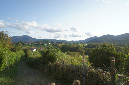 Photos_arnaud_%20(5)