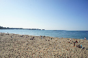 Photos_arnaud_%20(93)
