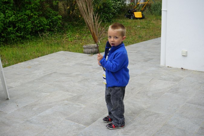 Ronce_avril_2017_104