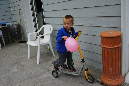 Ronce_avril_2017_105