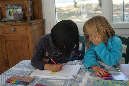 Ronce_avril_2017_127