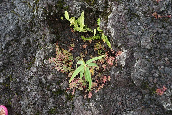 24juillet2018%20(20)