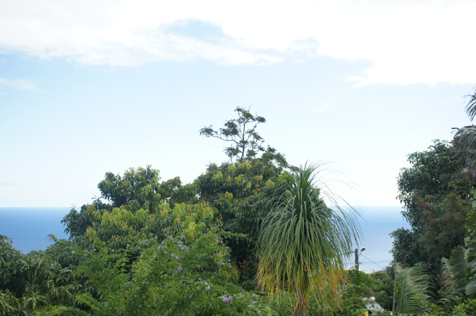 29juillet2018%20(10)