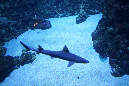 14Juillet2018%20(11)