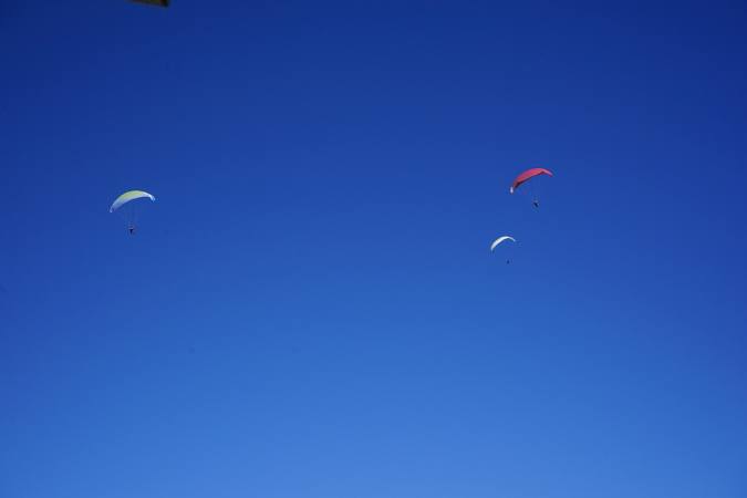 16Juillet2018%20(16)