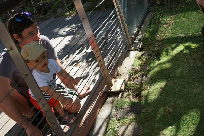 16Juillet2018%20(38)