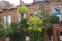 Barcelone_mai19_%20(31)