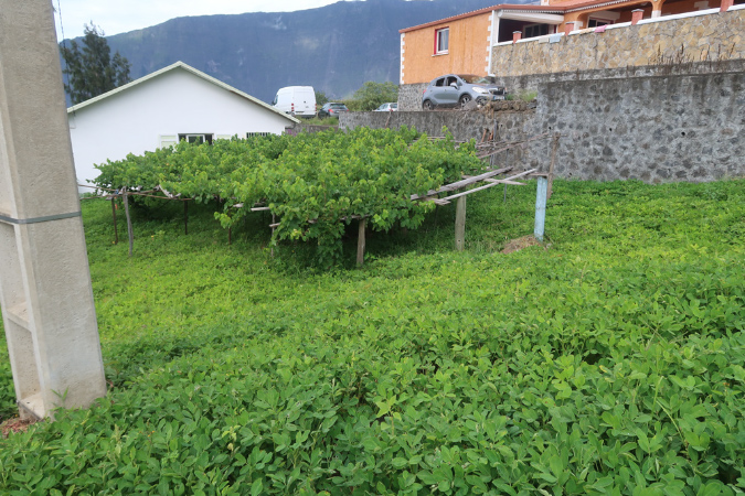 Cilaos_janvier2019%20(103)