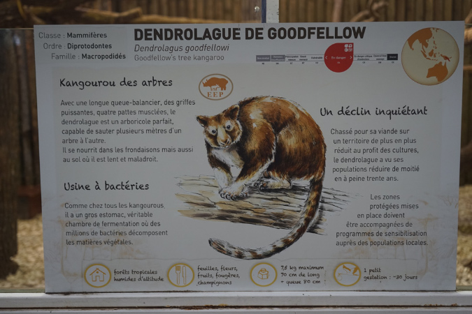 Jardin-des-plantes_25_02_19%20(19)