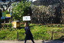 Jardin-des-plantes_25_02_19%20(12)