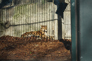 Jardin-des-plantes_25_02_19%20(23)