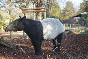 Jardin-des-plantes_25_02_19%20(33)