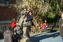 Jardin-des-plantes_25_02_19%20(53)