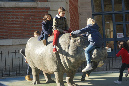 Jardin-des-plantes_25_02_19%20(54)