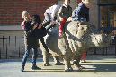 Jardin-des-plantes_25_02_19%20(55)