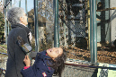 Jardin-des-plantes_25_02_19%20(8)