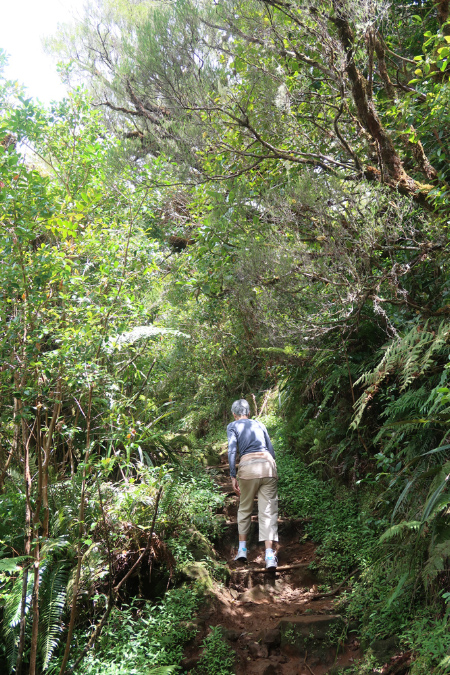 piton_Bebour_13janvier%20(12)
