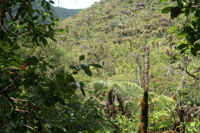 piton_Bebour_13janvier%20(14)