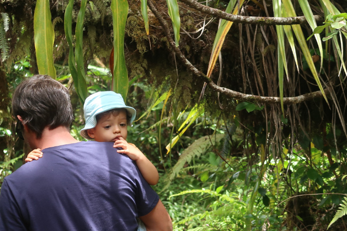 piton_Bebour_13janvier%20(15)